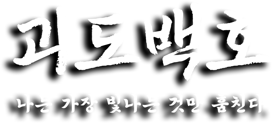 괴도백호 로고